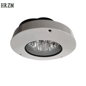 HRZM 投光灯具 RLEFL321-T-II 个