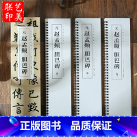 [正版]共3本元赵孟頫胆巴碑经典碑帖临摹卡全文收录近距离临摹字卡临帖卡毛笔楷书入门教程赵孟頫楷书赵孟俯安徽美术出版社4