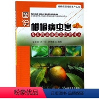 [正版]图说柑橘病虫害及农药减施增效防控技术 彩图版 橙子橘子树栽培种植管理技术 病虫害诊断用药修剪嫁接施肥 疏果
