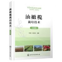 [N]油橄榄栽培技术(全彩版)-9787122406224