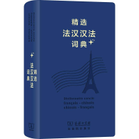 音像精选法汉汉法词典+皇甫庆莲 董明慧 孟心杰 等编