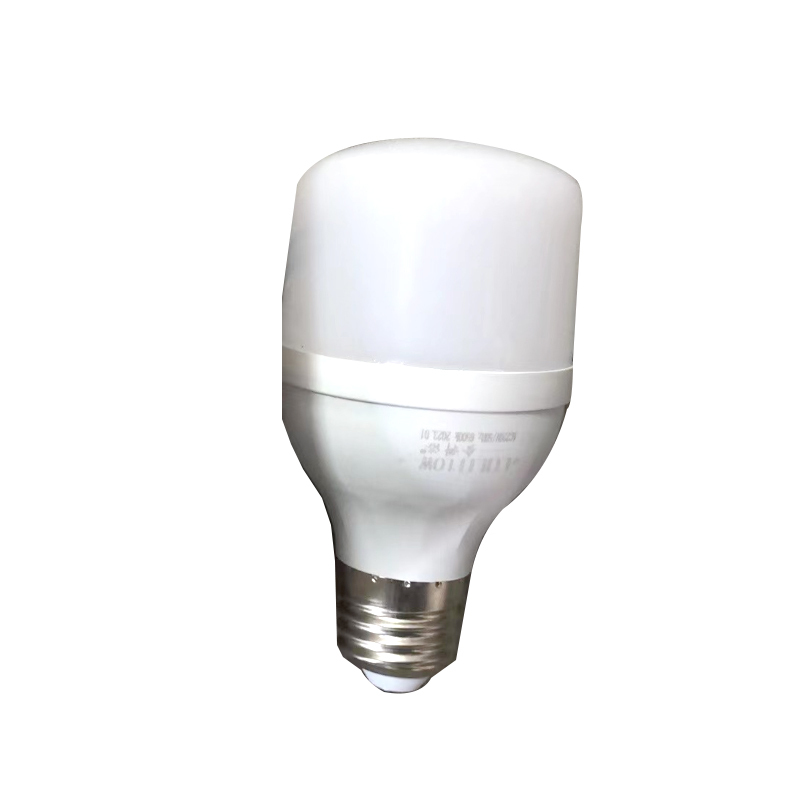 闻信 LED灯泡 100v-220v10w