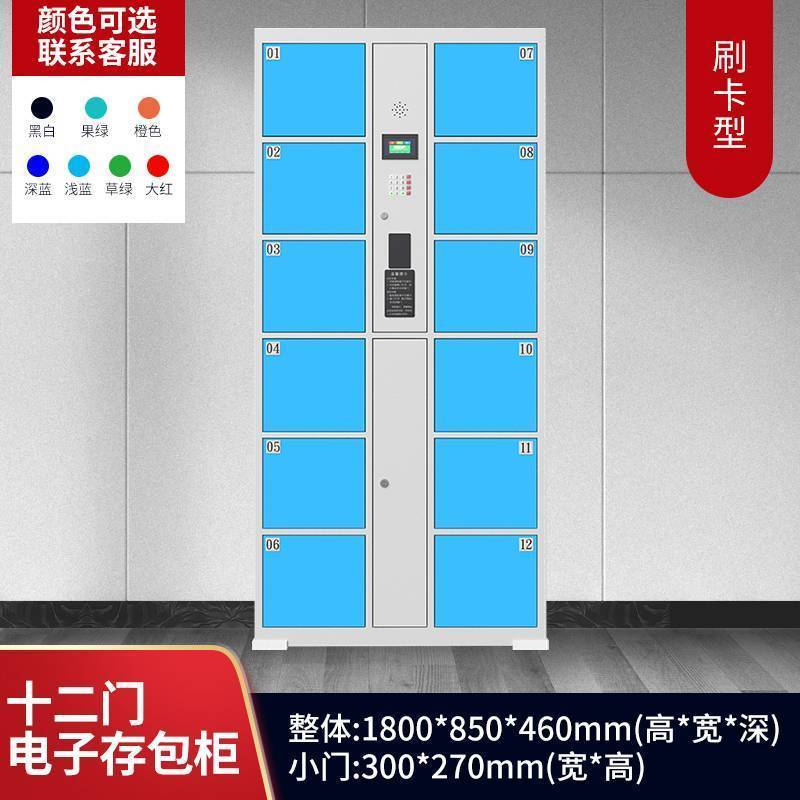 帝德龙12门存包柜电子存放柜刷卡型BMG-Z5 850*460*1800mm