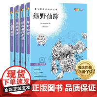 我优阅青少版 无障碍阅读彩插版 绿野仙踪+绿山墙+柳林风声+木偶 PDD