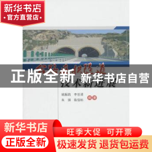 正版 公路连拱隧道技术新进展 姚振凯[等]编著 人民交通出版社