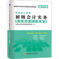 正版新书]天一新奥 初级会计实务 考点精析与上机题库 2019版全