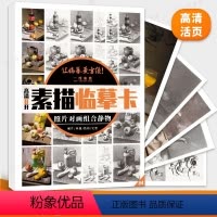 [正版]照片对画组合静物素描临摹卡 2024一线美誉