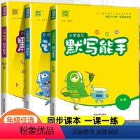 [3本]语文+数学(人教)+英语(人教版PEP) 三年级下 [正版]2024新小学计算能手默写能手一年级二年级三四五六年