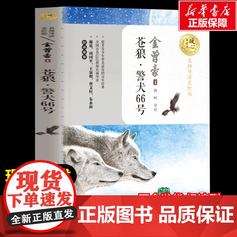 苍狼警犬66号 金曾豪著暖心美读书名师导读彩图版课文配套原著完整版儿童文学名著必小学生三四五六年级课外书阅读寒暑假书目
