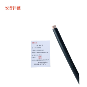 安普津盛 铜芯铠装电力电缆ZR-YJV22 2*4mm0.6/1kv 米