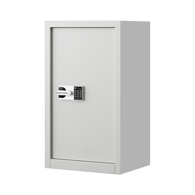 风雷动指纹电子保密柜钢制密码文件柜档案柜矮柜保密资料柜办公柜 单门白色:国保锁
