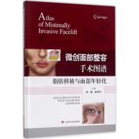 微创面部整容手术图谱:脂肪移植与面部年轻化