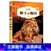 [正版]名师指导沈石溪新版动物小说精读酷玩系列 狮王的崛起 三四五六年级中小学生儿童书籍 必读课外书经典读物全新升级珍