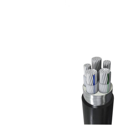 瑞鑫发达 铝芯铠装电力电缆 YJLV22 3*10+2*6 米