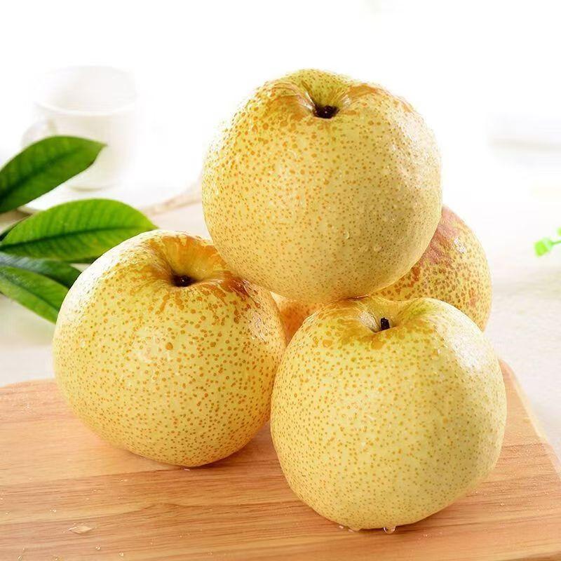 [熊猫鸟]新鲜云南雪花梨 5斤 大果 单果200g+ 应当季整箱翠冠梨香酥梨
