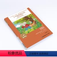 单本全册 [正版]了不起的鼠小壳·尾巴悲喜剧 全国儿童文学奖大奖书系刘