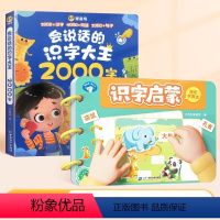[全两册]识字启蒙+识字大王2000字(点读发声) [正版]3到6岁宝宝识字启蒙游戏书幼儿园看图认字卡片魔术贴象形字识2