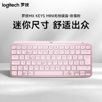 MX Keys Mini智能无线蓝牙双模便携键盘-玫瑰粉