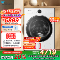 小天鹅(LittleSwan)滚筒洗衣机全自动纯平全嵌蓝氧防串色 10kg纳米银离子除菌[小蓝鲸2.0]TG10VE80