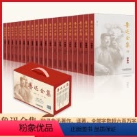 [正版]鲁迅全集20册 鲁迅作品大全集 经典作品集原著小说散文集