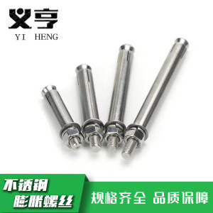 义亨 不锈钢膨胀螺丝 M8*100 个