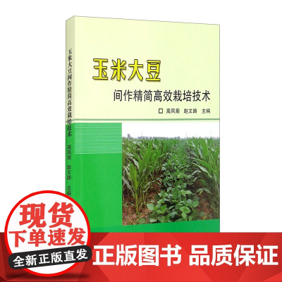玉米大豆间作精简高效栽培技术 高凤菊,赵文路 编 中国农业科学技术出版社9787511651938