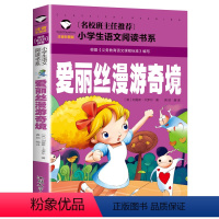 爱丽斯漫游奇境 [正版]5本20元 歇后语大全 名校班主任 彩图注音儿童文学6-7-8-9-10岁带拼音小学生语文一