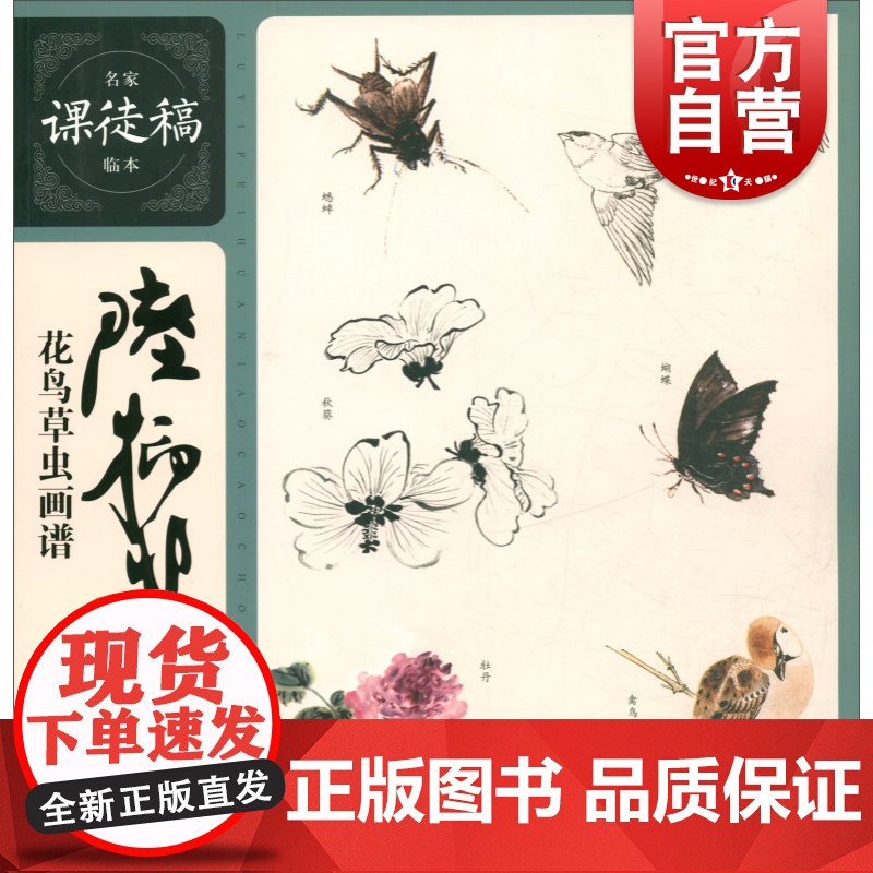 陆抑非花鸟草虫画谱 名家课徒稿临本 国画花鸟虫草技法理论解析 名家精选国画手稿作品集鉴赏 绘画入门教程 上海人民美术出版