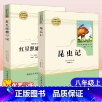 红星照耀中国+昆虫记[赠导练+同步笔记8年级数学] [正版]昆虫记法布尔原著初中生八年级上册名著阅读人民教育出版社红星照