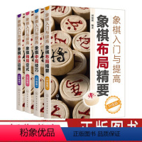 [正版] 象棋入门与提高升级版 共4册 象棋技巧杀法运用布局精要象棋残局定式破解指南 初学者棋谱基础教程 中国象棋棋谱