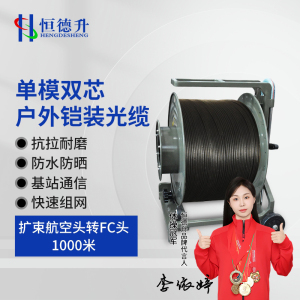 恒德升 铠装光缆HDS-A497S-KSFC-1KM 应急抢修放缆车缆线单模双芯 扩束航空头转FC头 1000米