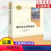 [八年级下]钢铁是怎样炼成的 [正版]八年级上下册名著课外阅读任选 昆虫记 红星照耀中国 名人传 钢铁是怎样炼成的 给青