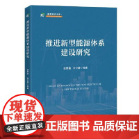 推进新型能源体系建设研究 中国经济出版社
