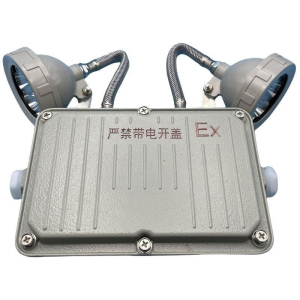 荣乾聚 双头应急灯 应急出口照明灯 XH6129 台