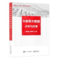 [N]R语言大数据分析与挖掘/新工科新商科大数据与商务智能系列-9787121452383
