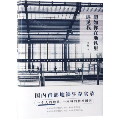 [N]假如你在地铁里遇见我(精)-9787530219232