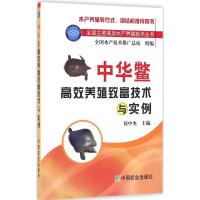 中华鳖高效养殖致富技术与实例(全国主推高效水产养殖