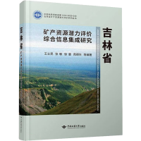 音像吉林省矿产资源潜力评价综合信息集成研究王立民 等 编
