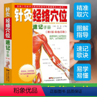 [正版]针灸经络穴位速记手册
