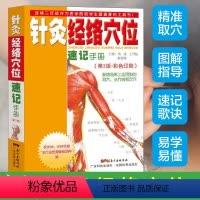 [正版]针灸经络穴位速记手册