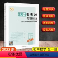 [代数]典型题专项训练 八年级/初中二年级 [正版]新版 初中数学8八年级上下册代数高效训练计算专题冲关几何典型题专项训
