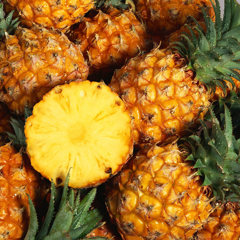 赛卡伊 正宗广东徐闻香水大菠萝现摘新鲜水果手撕非凤梨整箱3/5/10斤