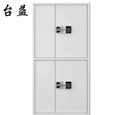 台益 文件柜 TY-FYBMG2 900*400*1850mm 个