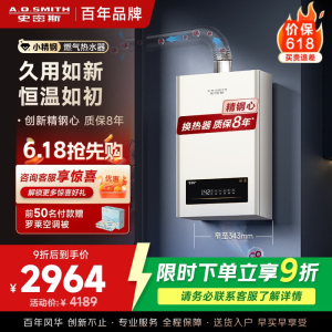 AO史密斯小体积16升精钢燃气热水器 JSQ31-EC3 负压燃烧更安全 精控恒温 家用持久恒温大水量