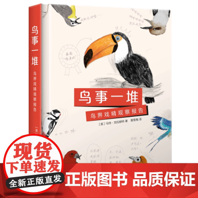 西西弗书店 鸟事一堆:鸟界戏精观察报告 实用手绘观鸟入门手册