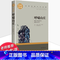 世界经典 文学名著[呼啸山庄] [正版]呼啸山庄无删减 世界十大名著 外国文学长篇小说经典书系必读高中生初中生课外阅读书