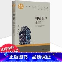 世界经典 文学名著[呼啸山庄] [正版]呼啸山庄无删减 世界十大名著 外国文学长篇小说经典书系必读高中生初中生课外阅读书