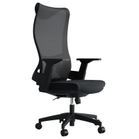 臻远 ZY-BGY-38 办公椅转椅人体工学椅电脑椅会议椅老板椅学习椅(黑色)