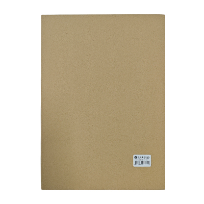 优彩嘉 牛皮纸 打印纸 210*297mm A4 G120 包