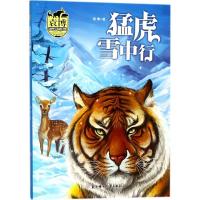 正版新书]袁博动物小说新经典?猛虎雪中行袁博9787558518737